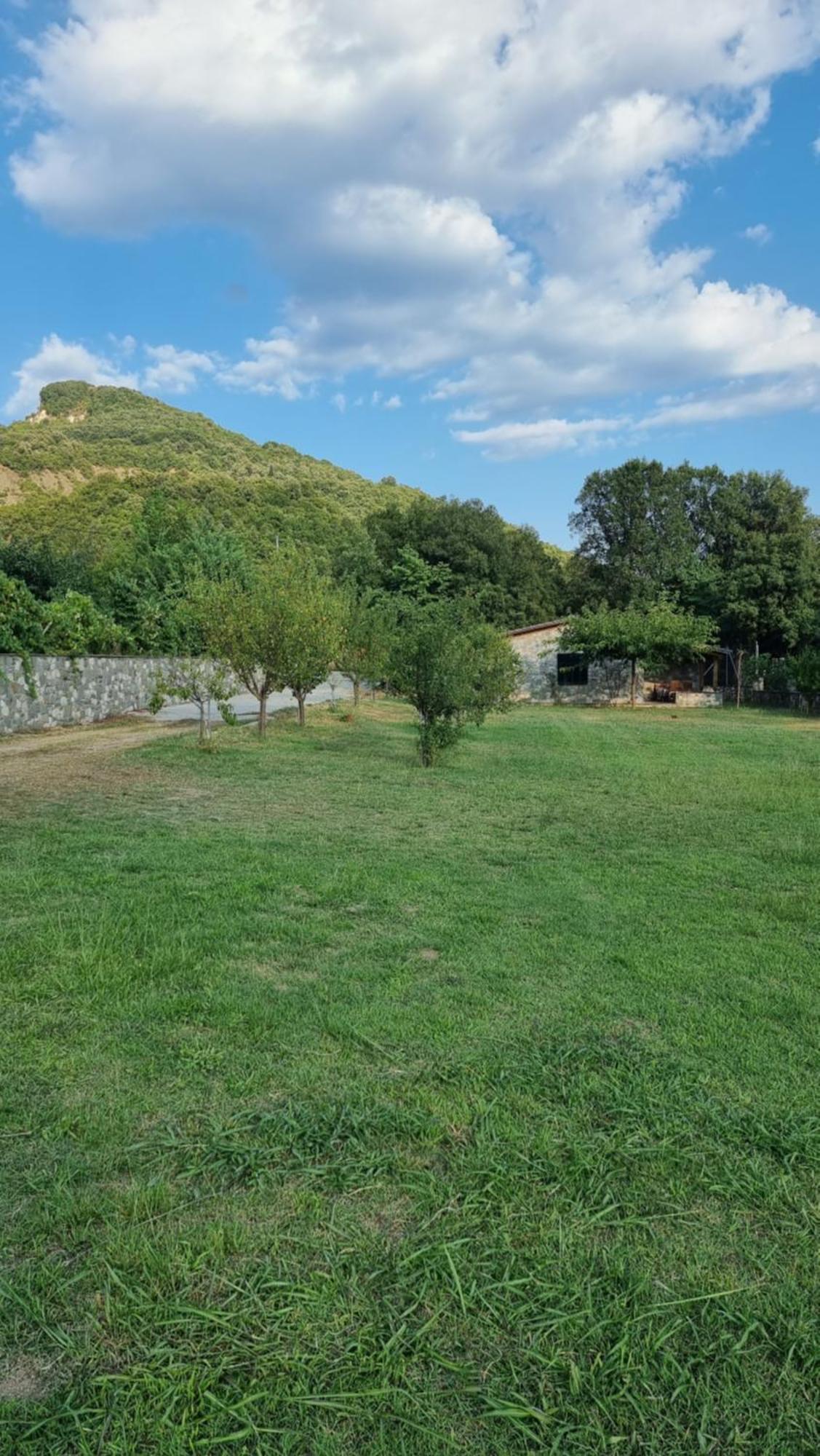 House With Big Garden And Barbeque In Nature Vourgareli Exteriör bild